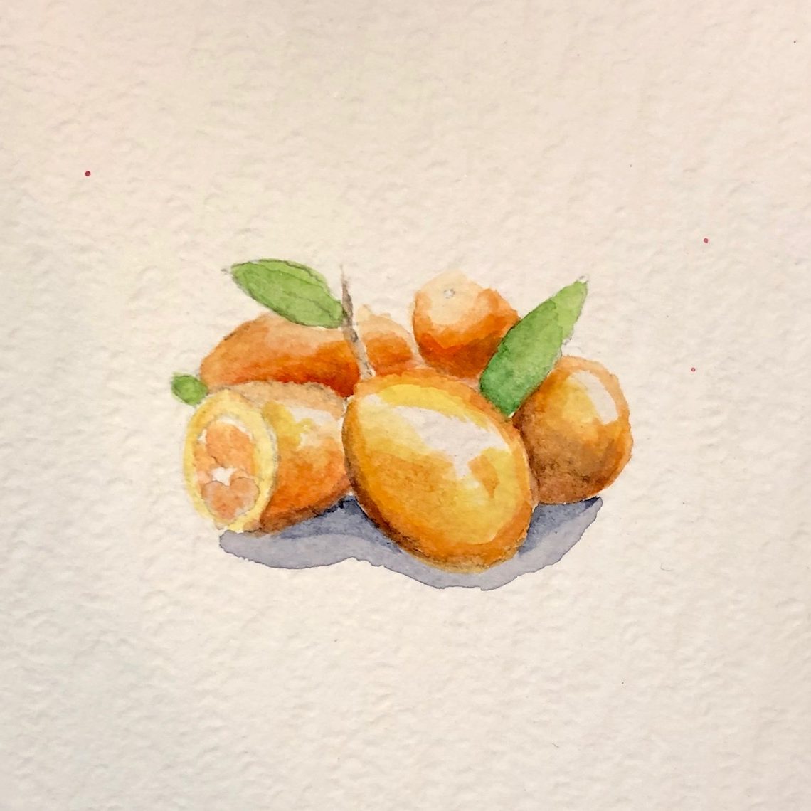 Week 10 金桔 好孕40週-第10週-胎兒大小像金桔