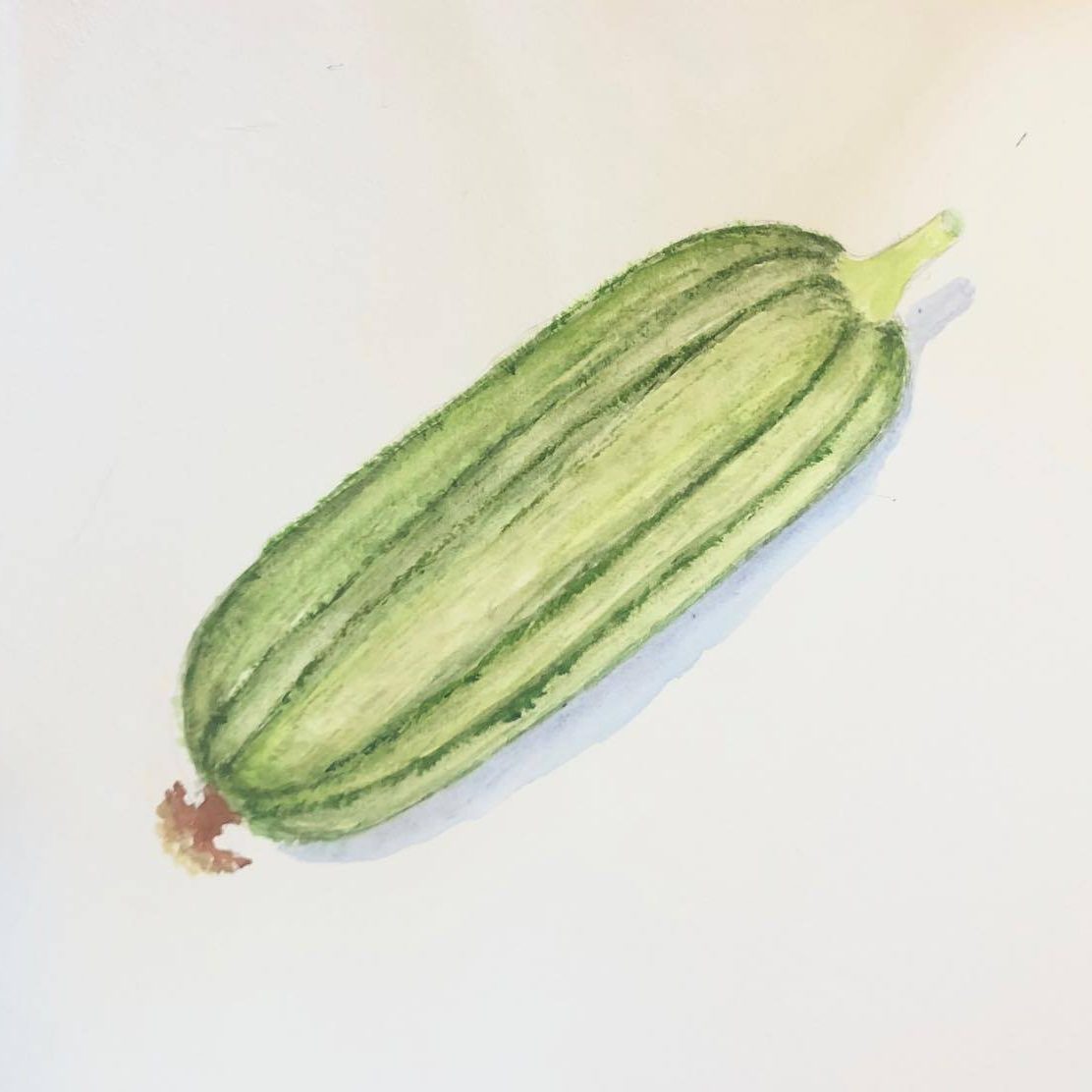 Week 27 絲瓜 Week 27 絲瓜