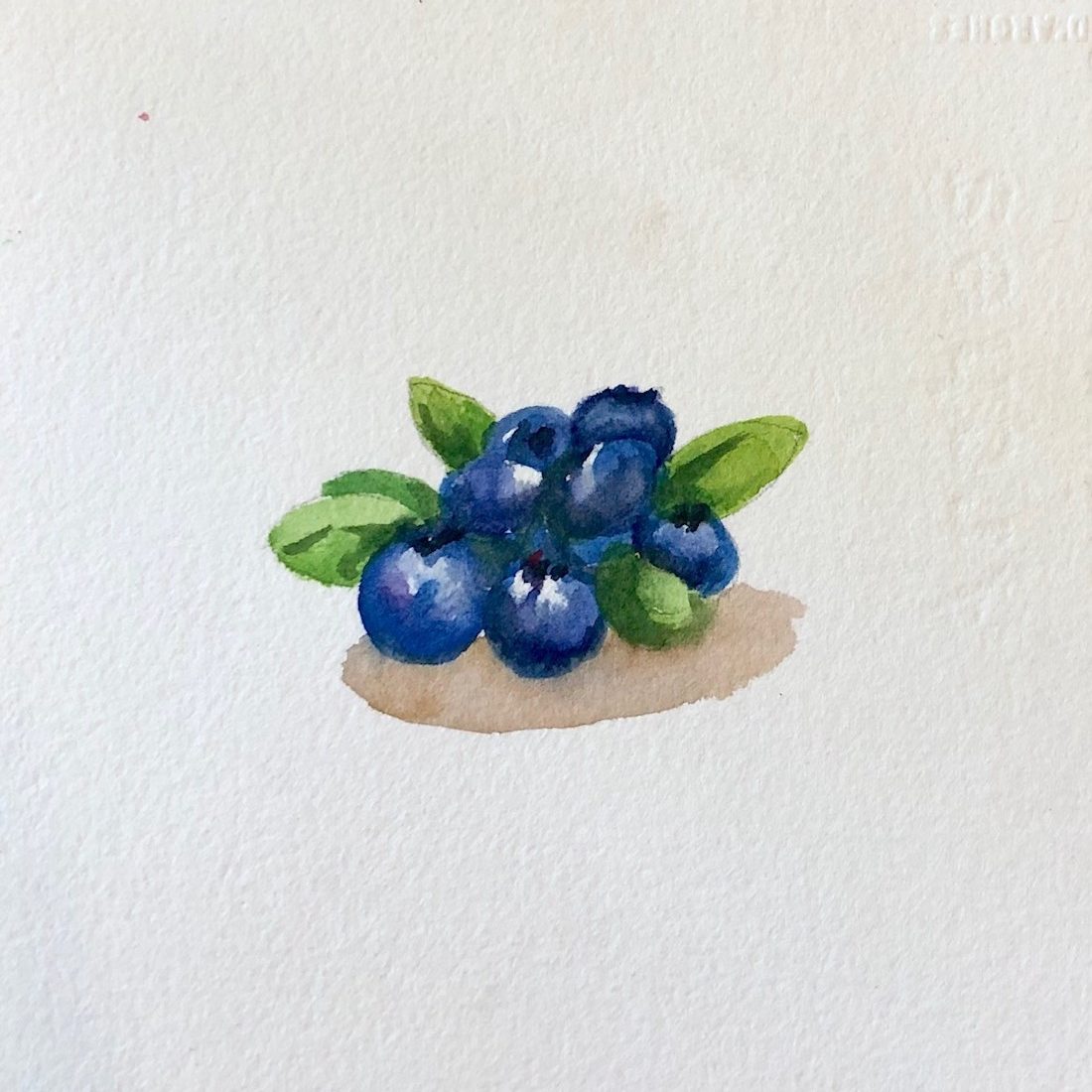 Week 7 藍莓new Week 7 藍莓new