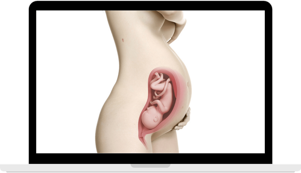 好孕40週-第32週| 愛兒學