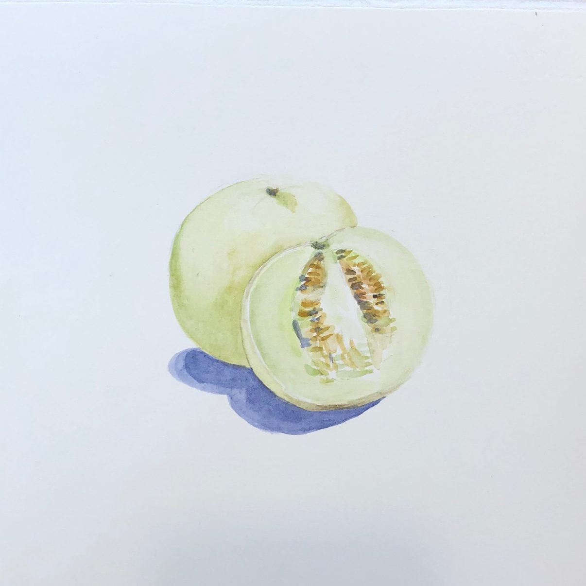 Week 35 香瓜 Week 35 香瓜