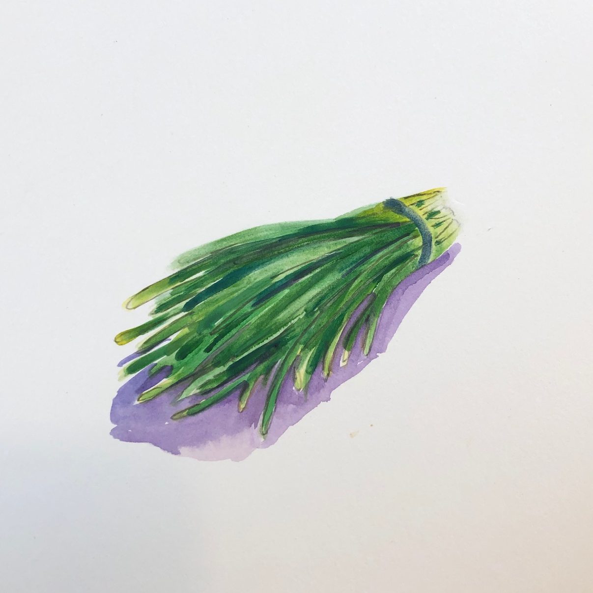 Week 38 韭菜 Week 38 韭菜